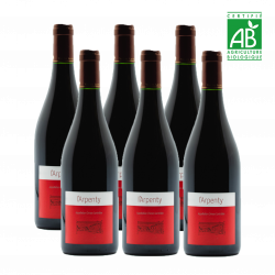 6x75cl - Chinon - Domaine...