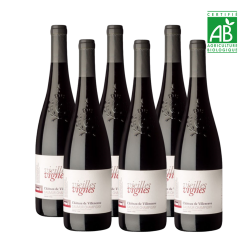 6x75cl - Saumur Champigny -...
